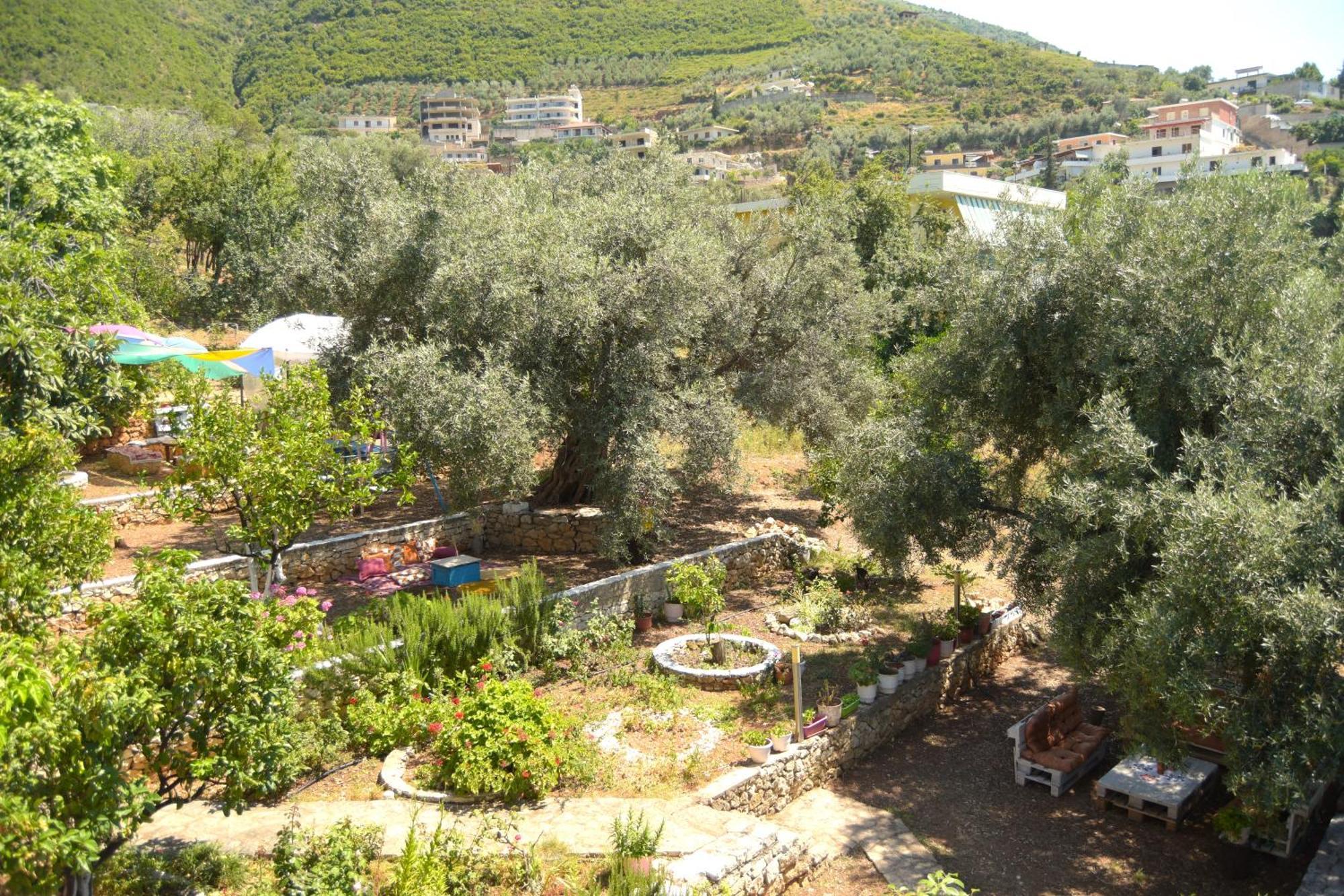 Toskaj